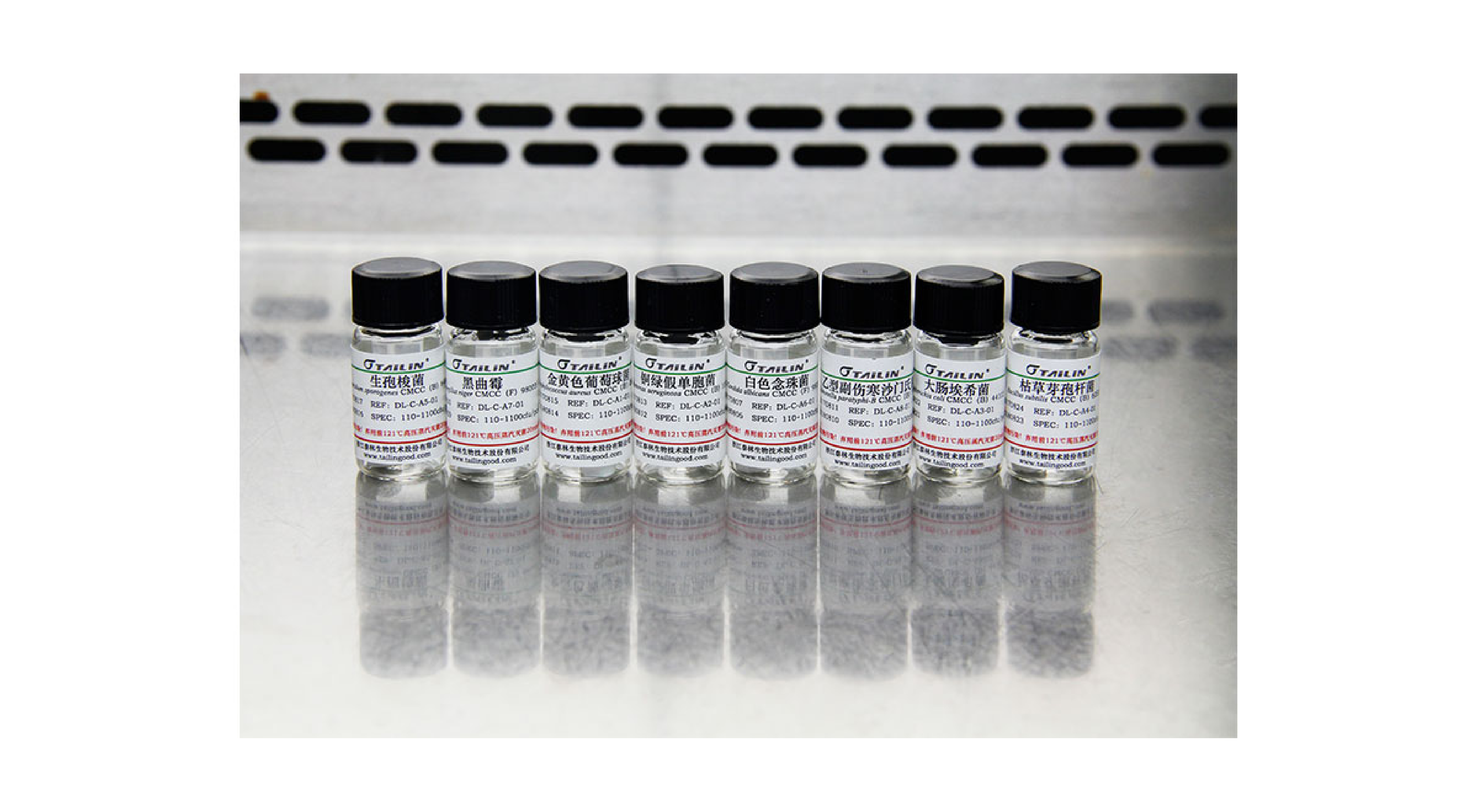 FUN88��������(�й���)�ٷ���վ