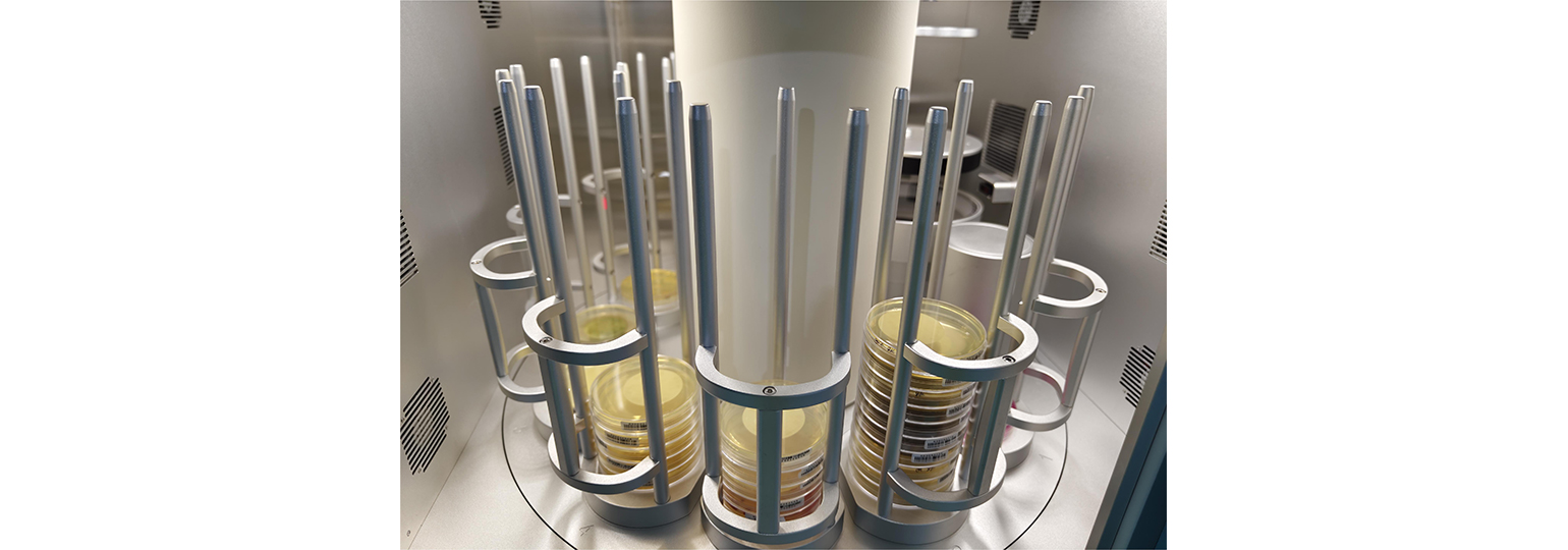 ȫ�Զ������������վSCW-100